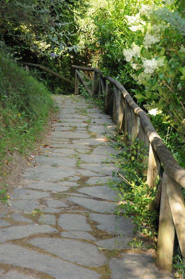 Hostal La Torre II Puente de Domingo Florez Εξωτερικό φωτογραφία